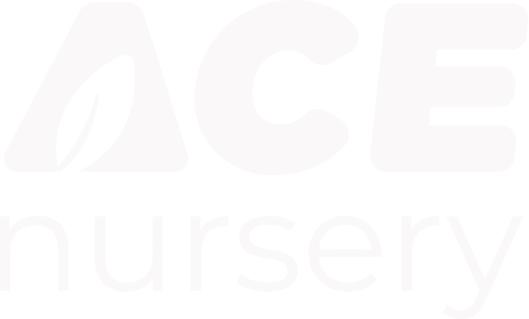 ACE Nursery